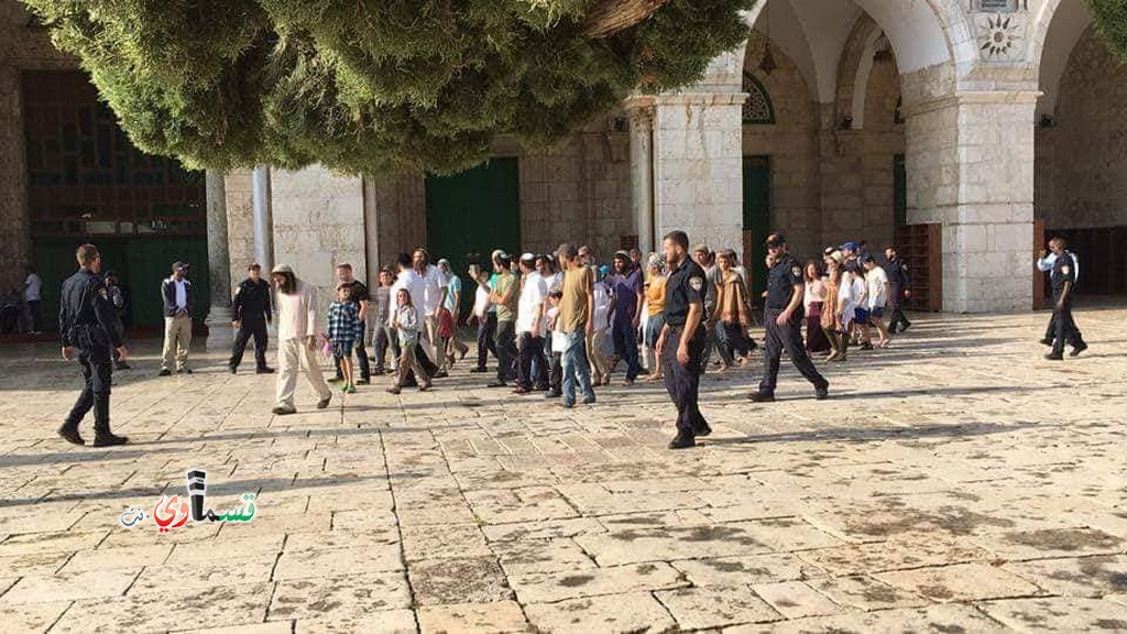 720 مستوطنًا إسرائيليًا يقتحمون المسجد الأقصى بحماية الشرطة